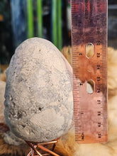 Load image into Gallery viewer, Huge Celestite raw egg