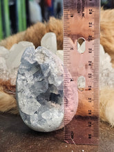 Load image into Gallery viewer, Celestite raw egg