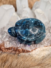 Load image into Gallery viewer, Blue apatite turtle
