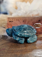 Load image into Gallery viewer, Blue apatite turtle
