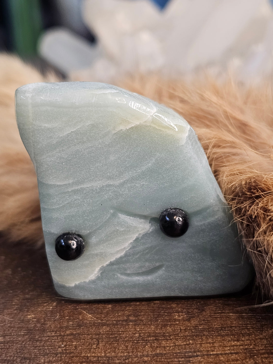 Caribbean calcite pet rock