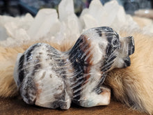 Load image into Gallery viewer, Caribbean calcite dog
