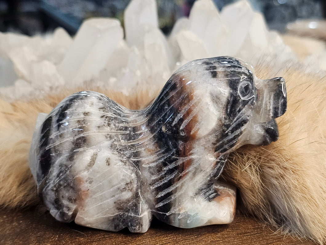 Caribbean calcite dog