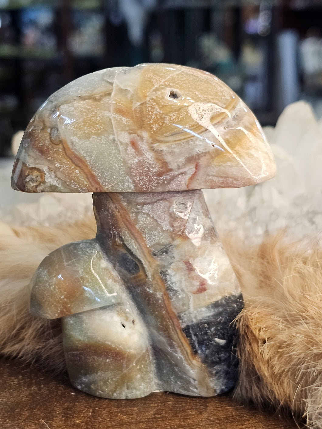 Caribbean calcite mushroom