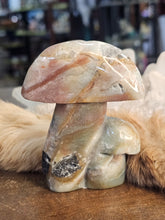 Load image into Gallery viewer, Caribbean calcite mushroom
