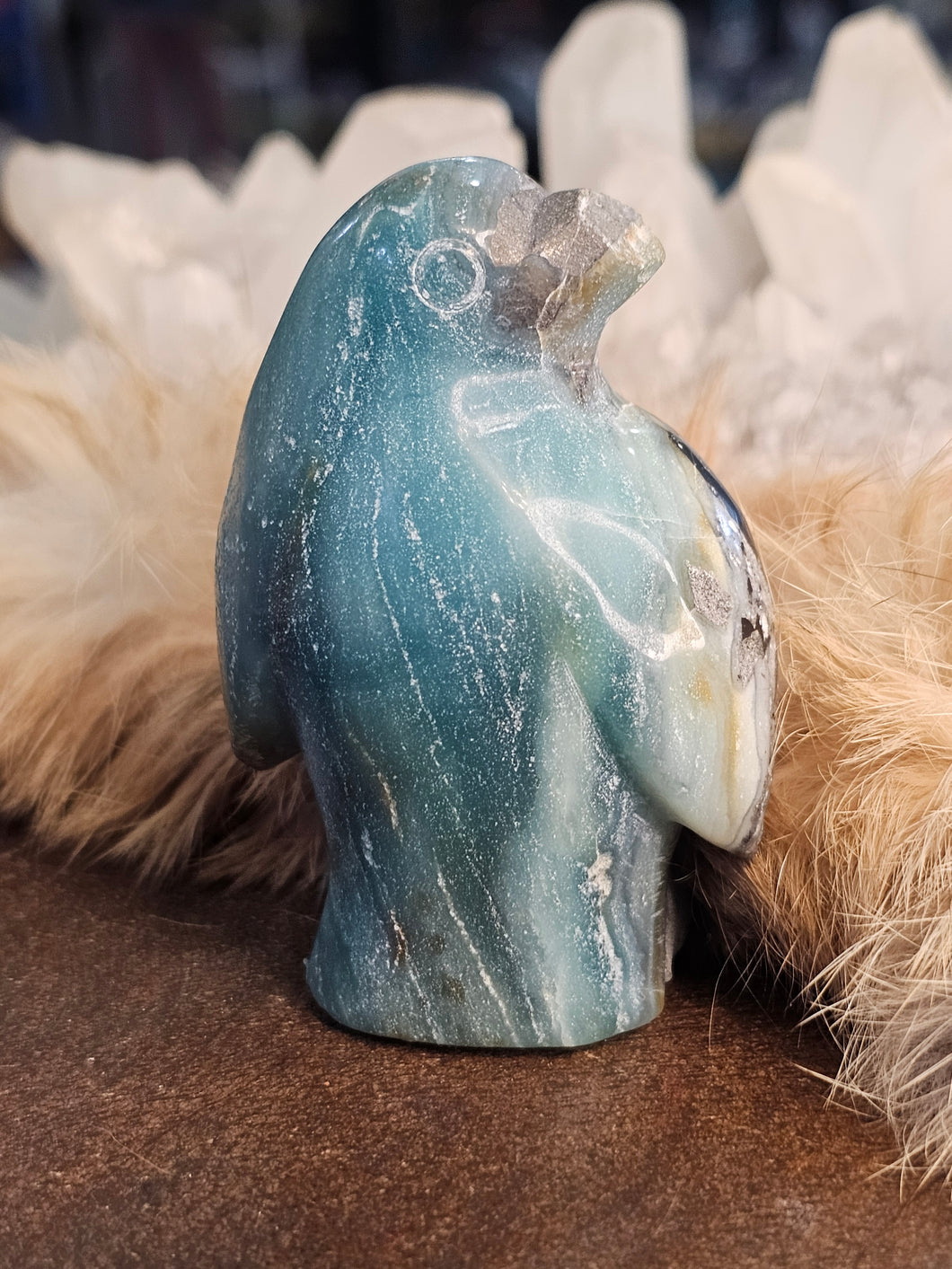 Caribbean calcite penguin