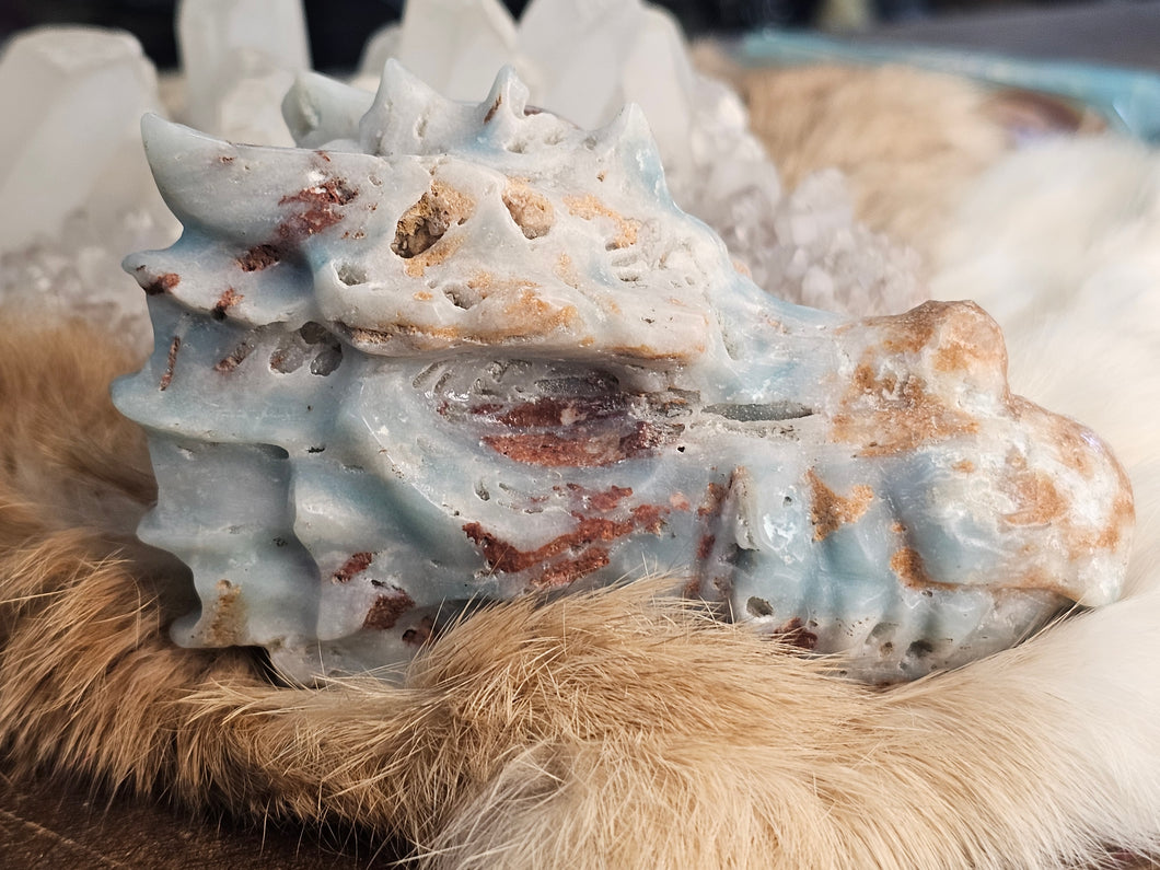 Caribbean calcite dragon head