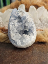 Load image into Gallery viewer, Celestite raw egg
