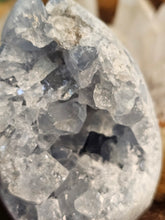 Load image into Gallery viewer, Celestite raw egg
