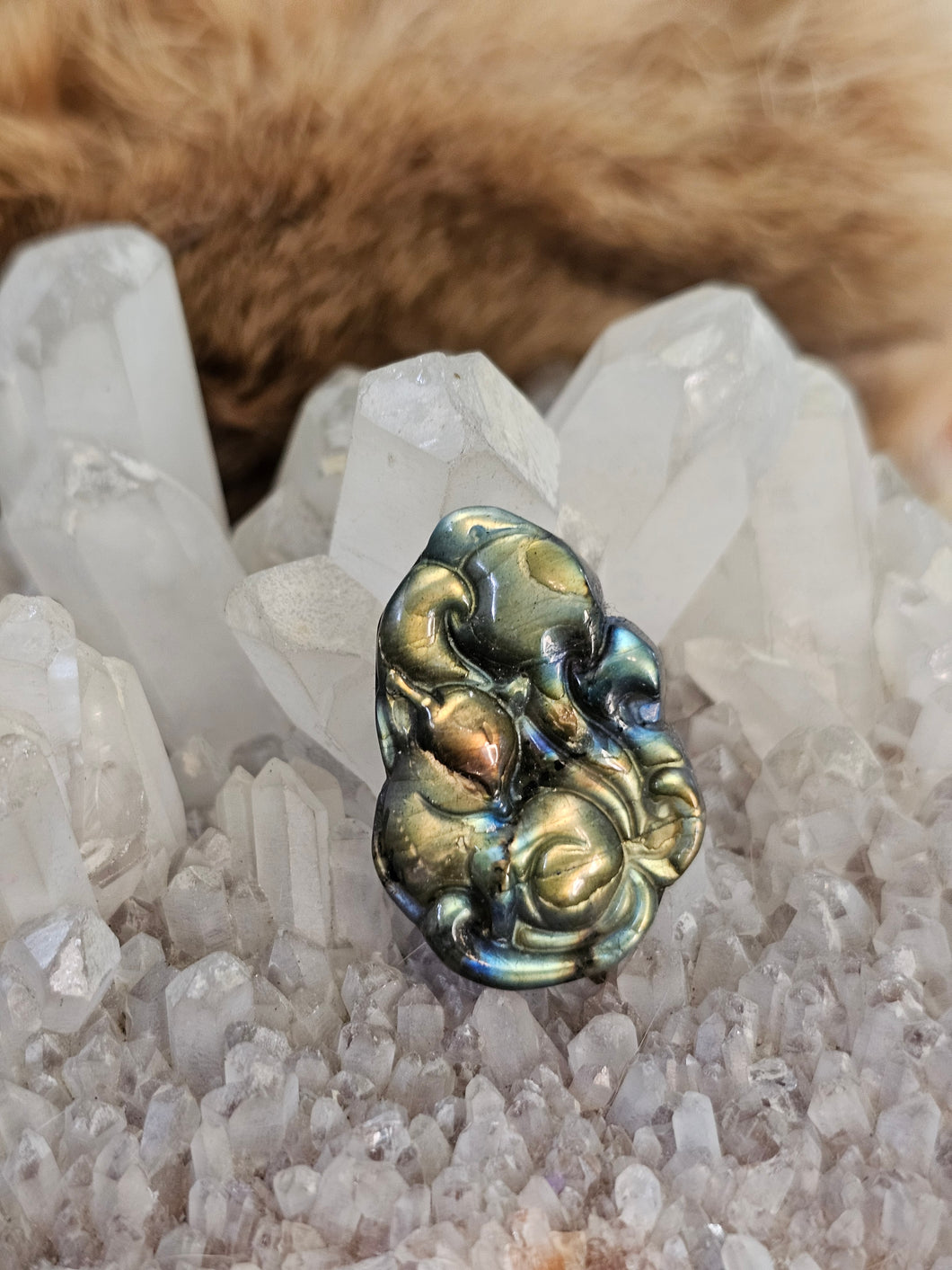 Labradorite fox