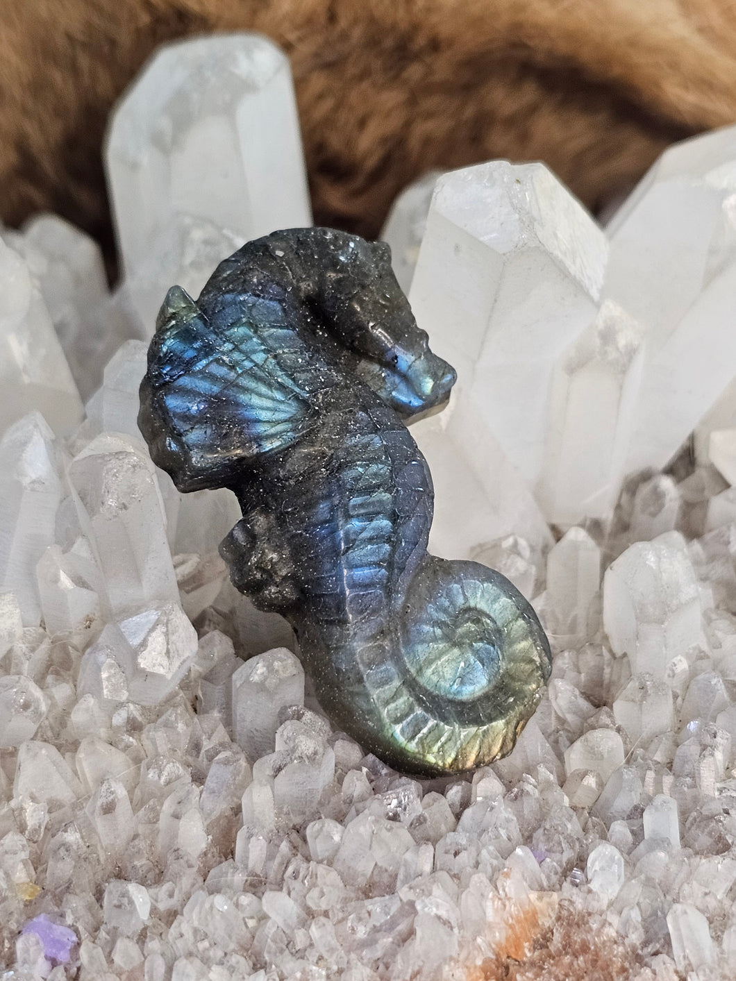 Labradorite seahorse