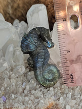 Load image into Gallery viewer, Labradorite seahorse
