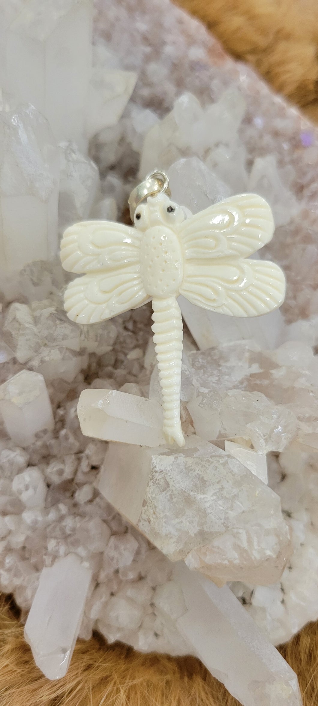 Bone carved dragonfly