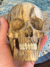 Load image into Gallery viewer, Hand carved tamarind wood and real bone skull
