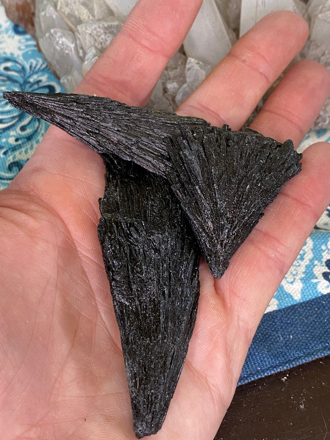 Black kyanite wings